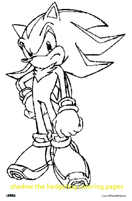 Super Shadow The Hedgehog Coloring Pages at Free