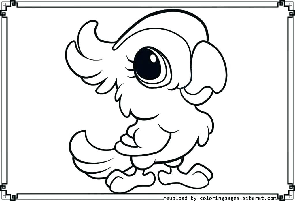 Swamp Animals Coloring Pages at GetColorings.com   Free ...