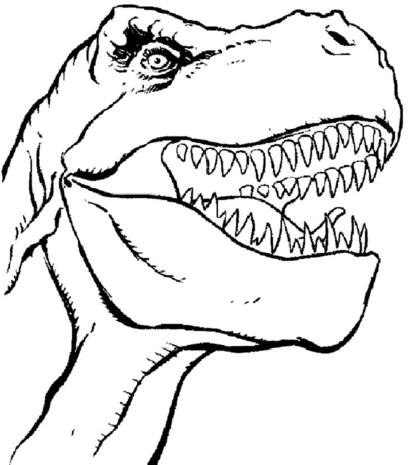 T Rex Coloring Page At GetColorings Free Printable Colorings Pages To Print And Color