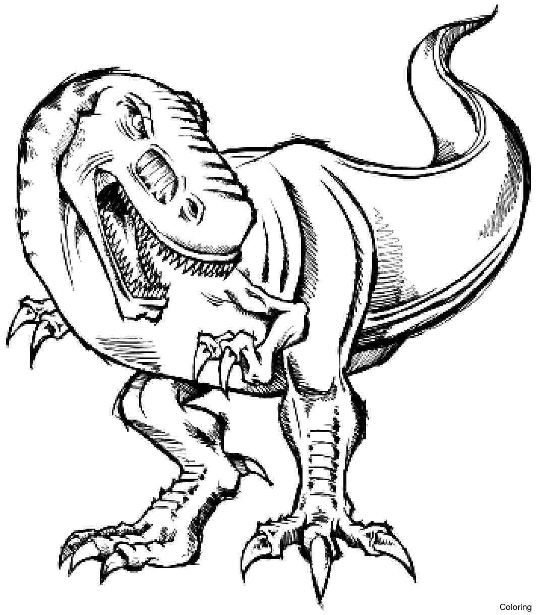 T Rex Skeleton Coloring Page At Getcolorings Free Printable 39412 The 
