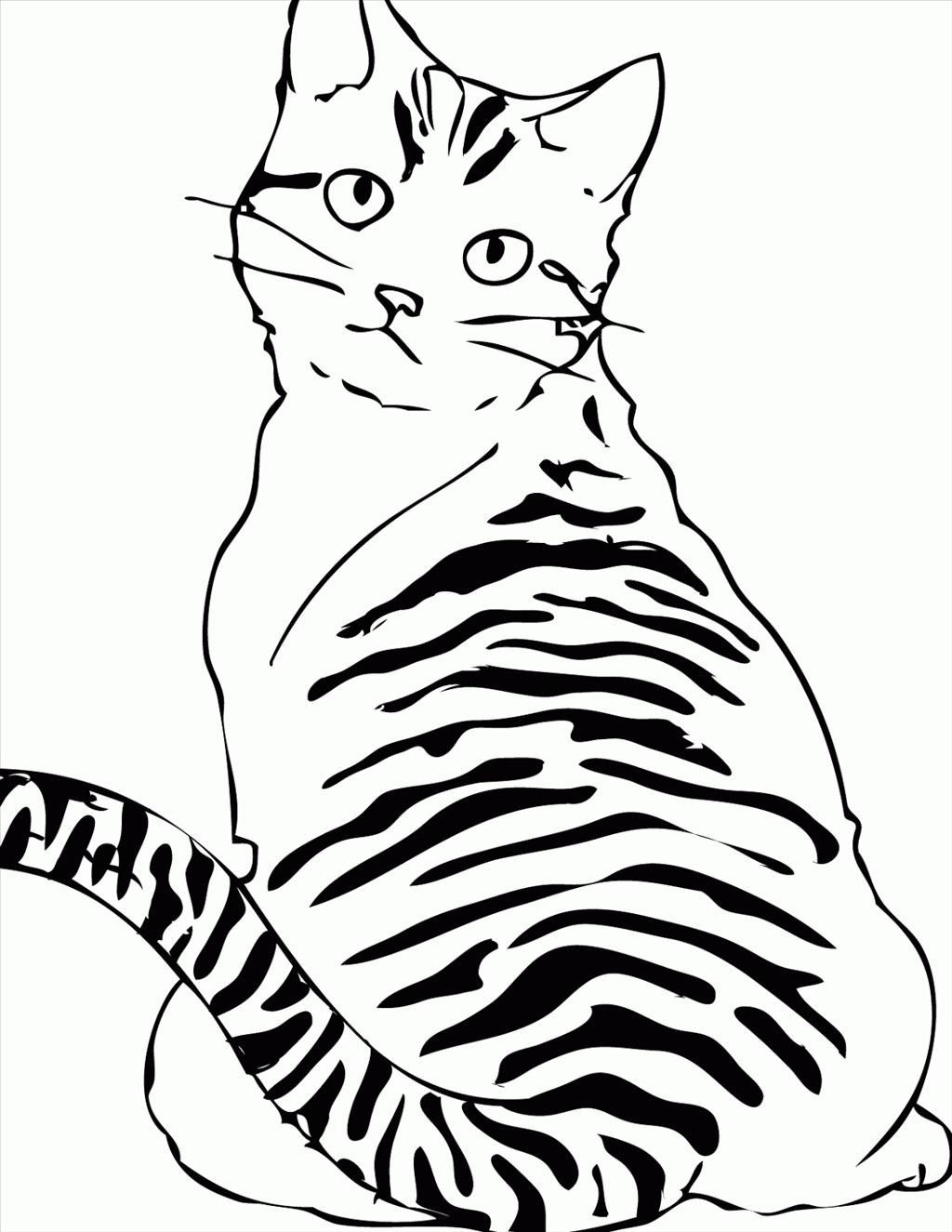 Tabby Cat Coloring Pages at Free printable colorings