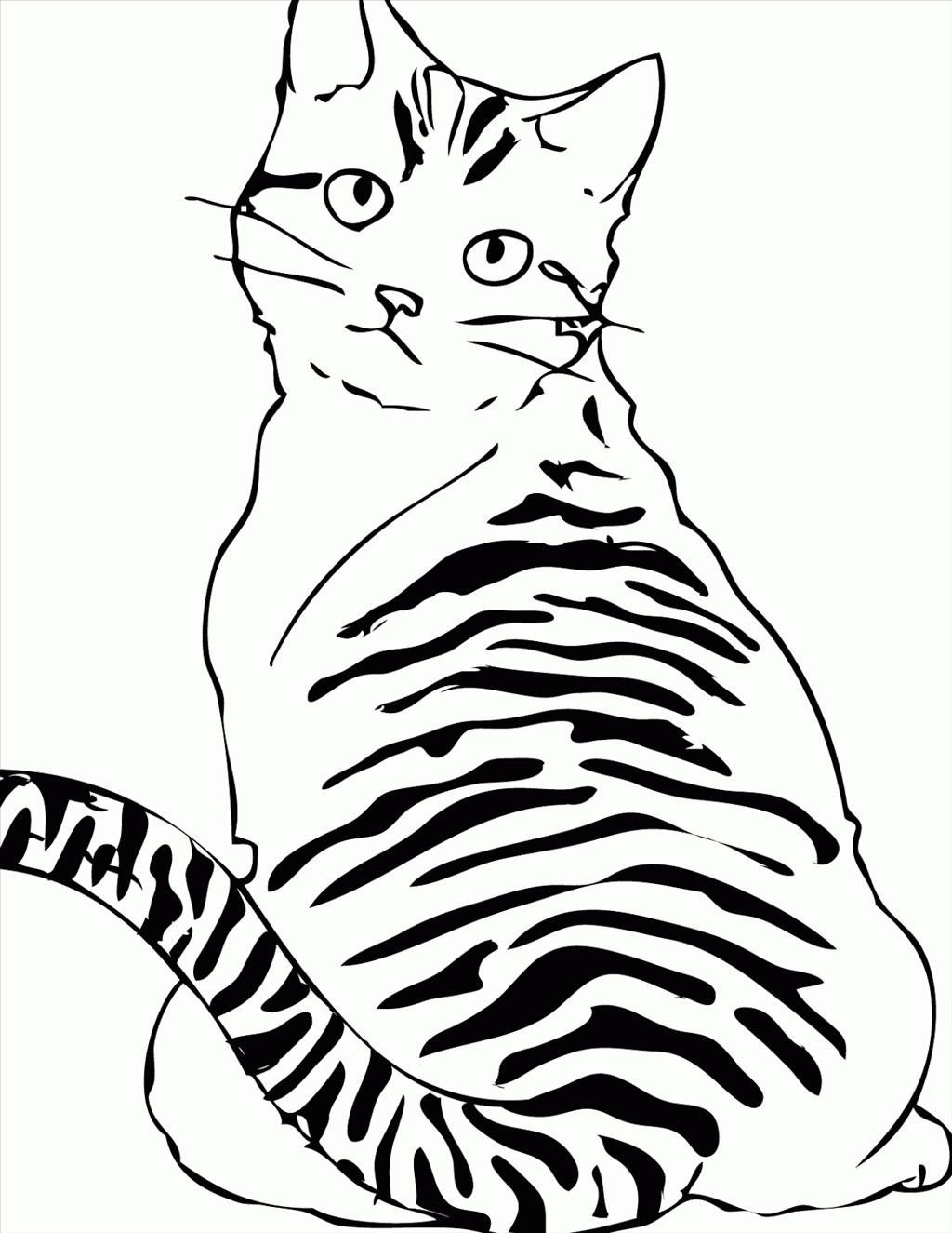 Tabby Cat Coloring Pages at GetColorings.com | Free ...