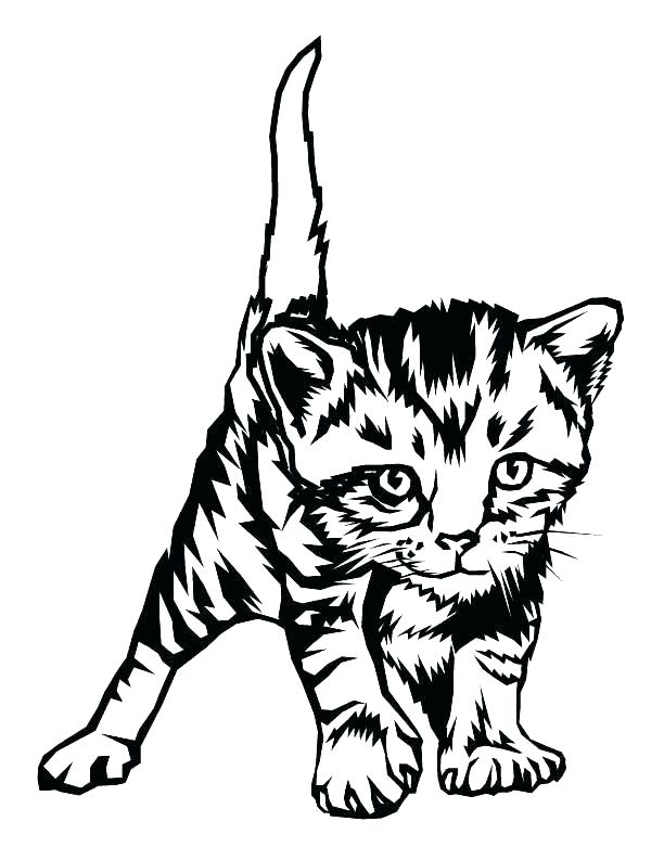 Tabby Cat Coloring Pages at GetColorings.com | Free printable colorings
