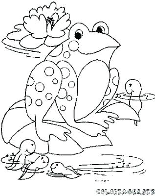 Tadpole Coloring Page at GetColorings.com | Free printable colorings