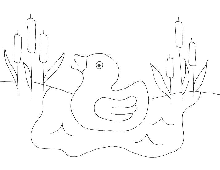Tadpole Coloring Page at GetColorings.com | Free printable colorings
