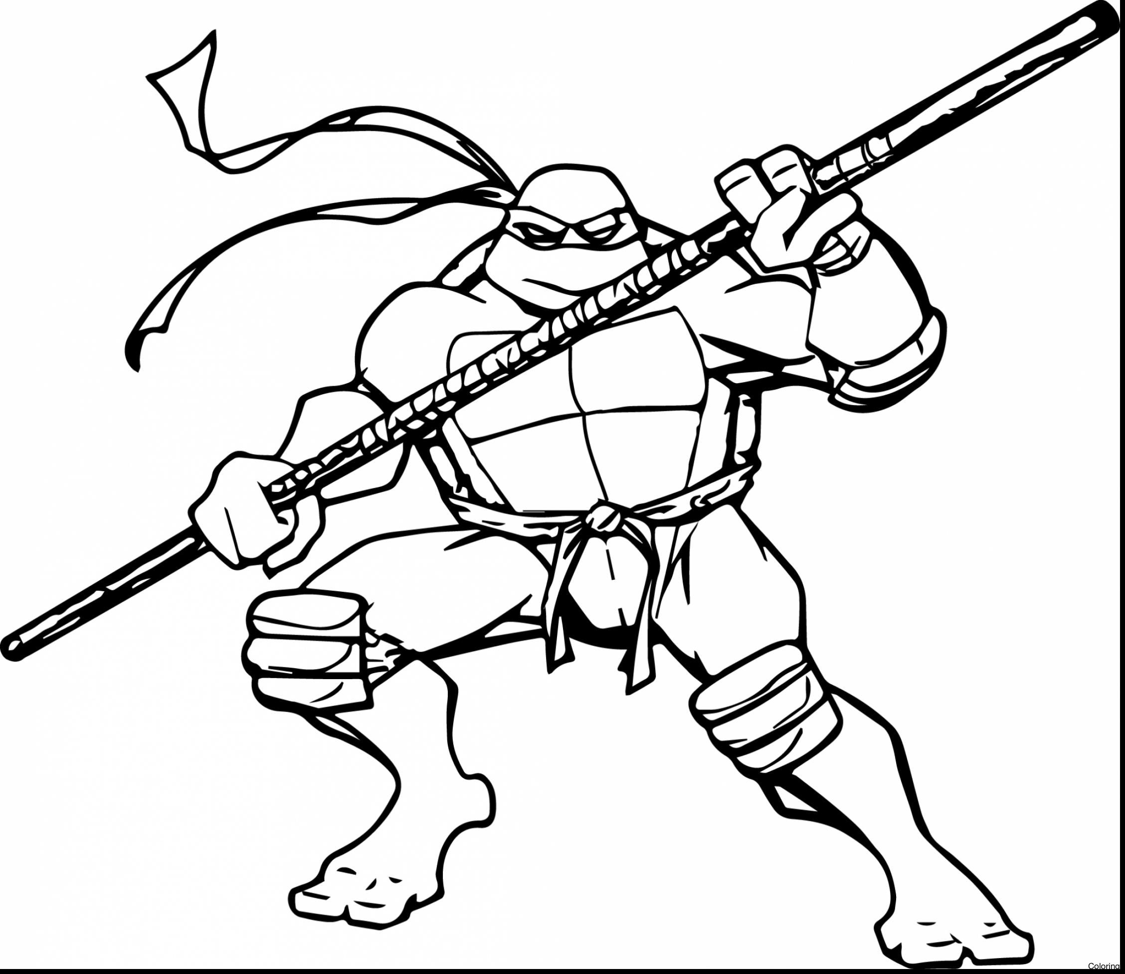 Teenage Mutant Ninja Turtles Michelangelo Coloring Pages At 