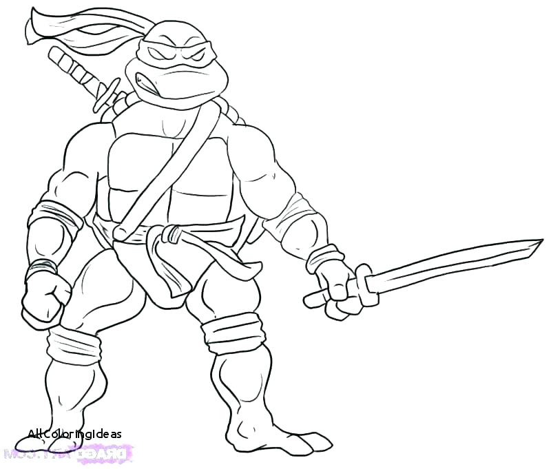Teenage Mutant Ninja Turtles Michelangelo Coloring Pages At 
