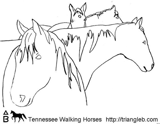 Tennessee Vols Coloring Pages at GetColorings.com | Free printable