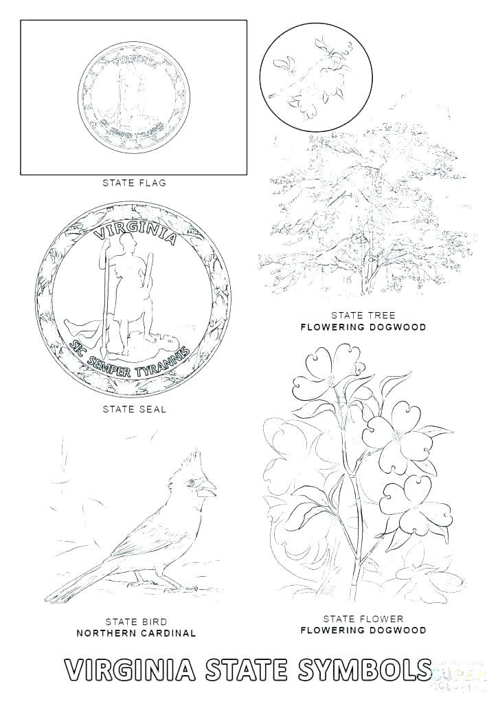 725x1024 State Symbols Coloring Pages United States