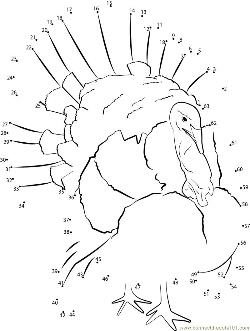 Thanksgiving Dot To Dot Coloring Pages At GetColorings Free Printable Colorings Pages To