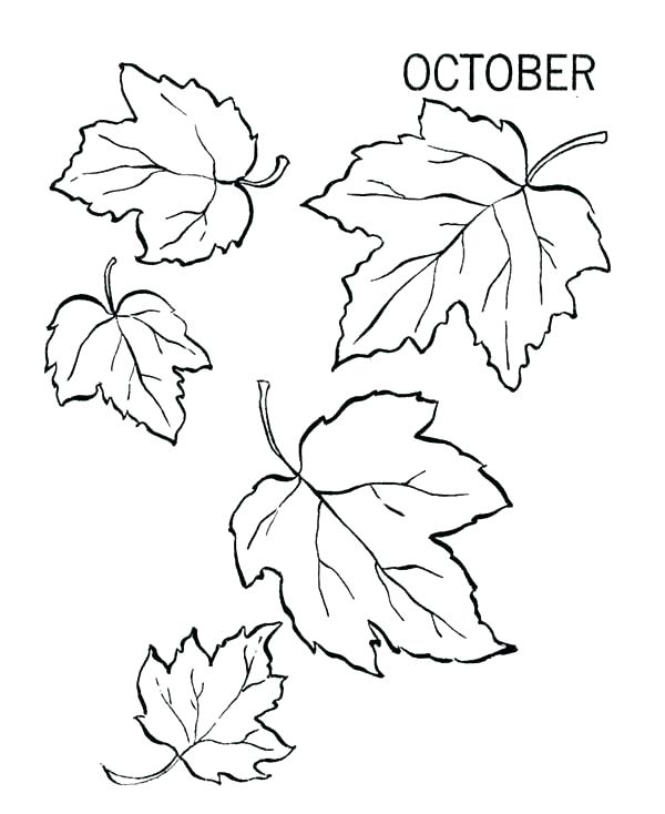 Thanksgiving Leaves Coloring Pages at GetColorings.com | Free printable