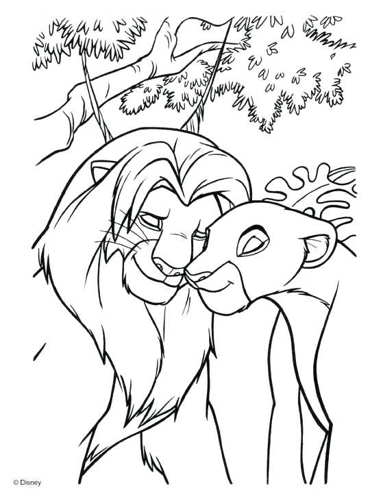 626 Cute The Lion King 2 Coloring Pages for Adult
