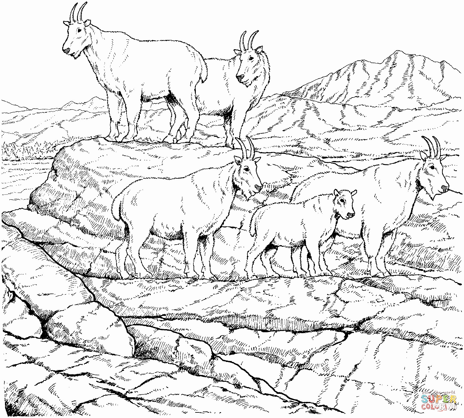 Three Billy Goats Gruff Coloring Pages At Free Printable Colorings Pages To