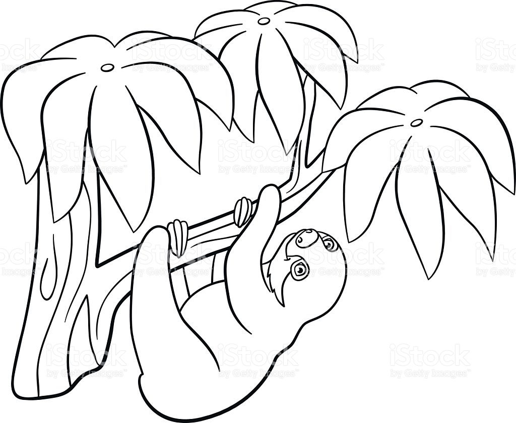 Three Toed Sloth Coloring Pages at GetColorings.com   Free printable ...