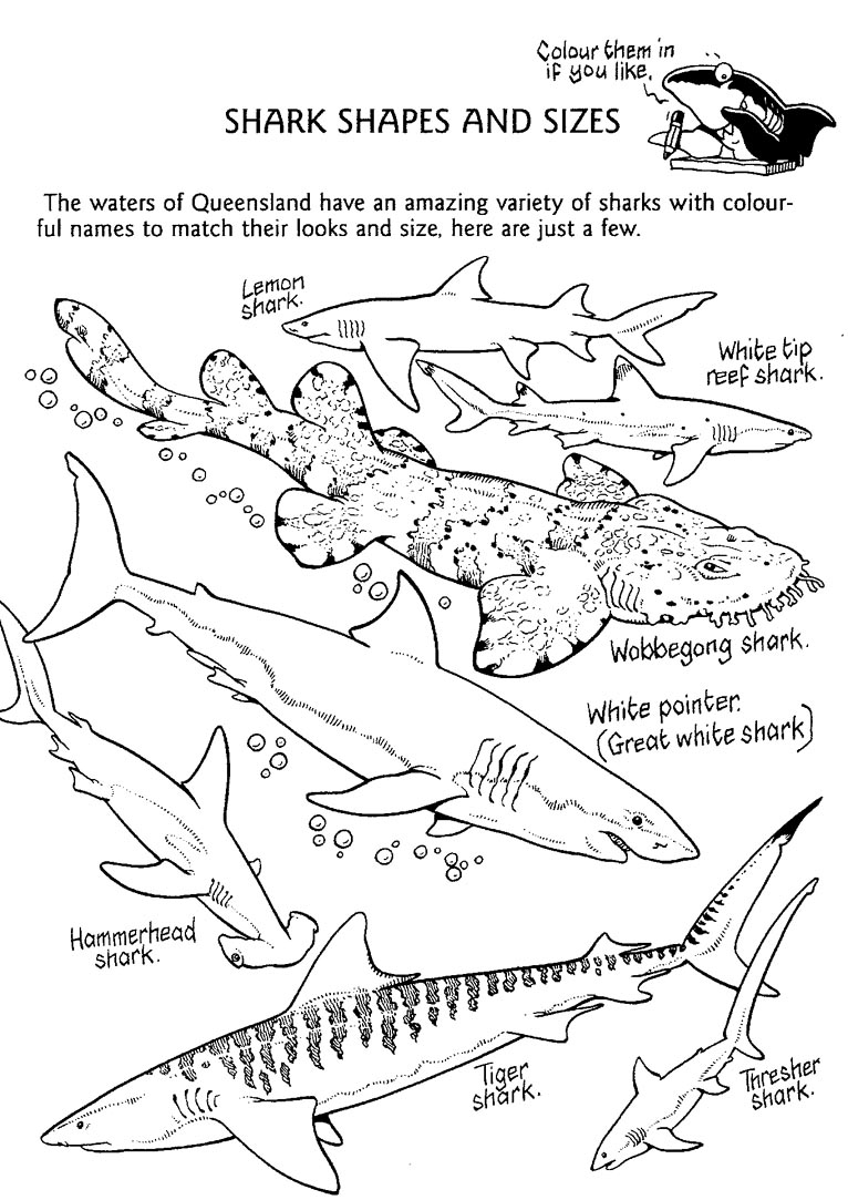 766x1083 Shark Shapes Coloring Pages