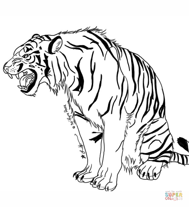 Tiger Coloring Pages Realistic at Free