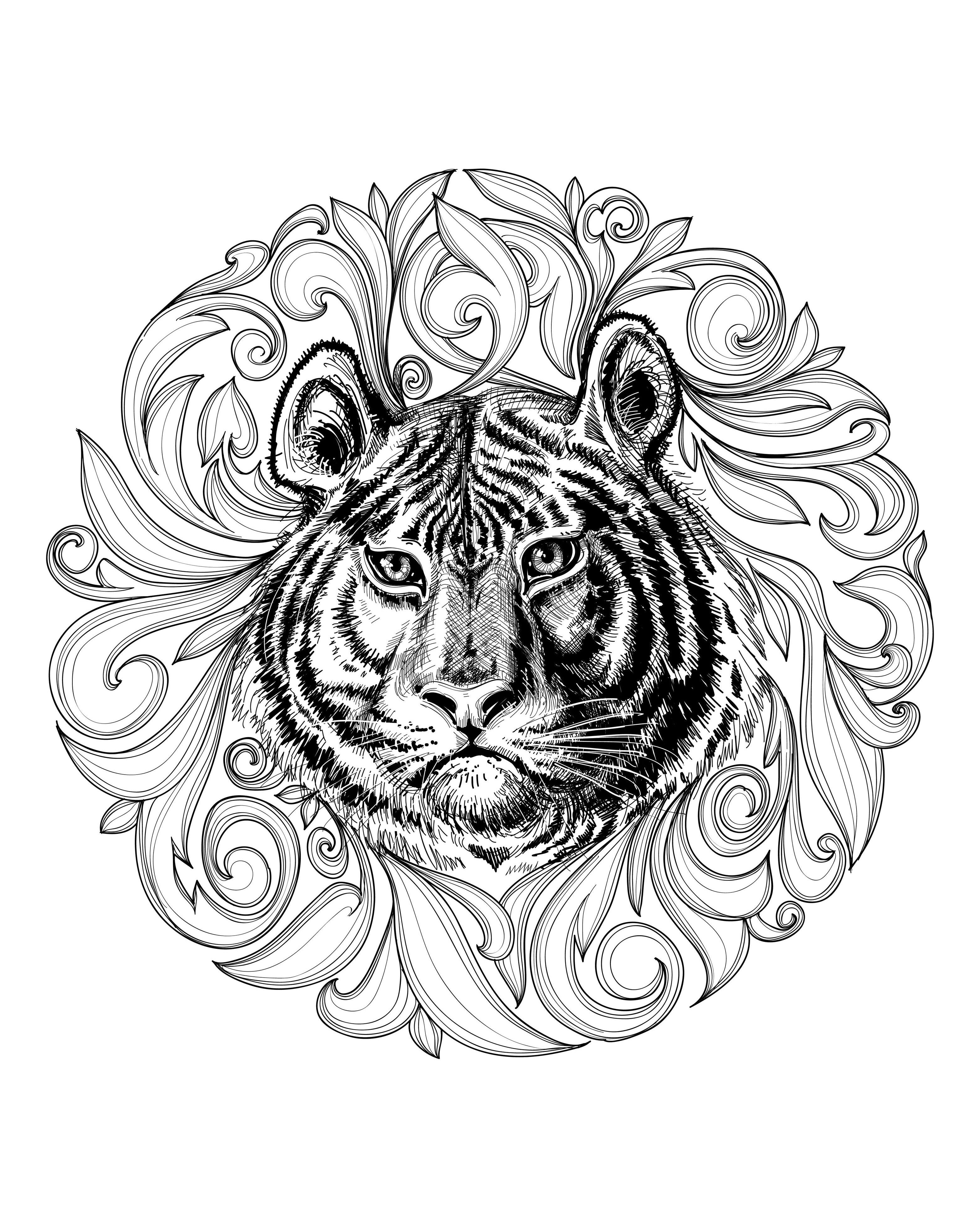 Tiger Mandala Coloring Pages At GetColoringscom | Free Printable