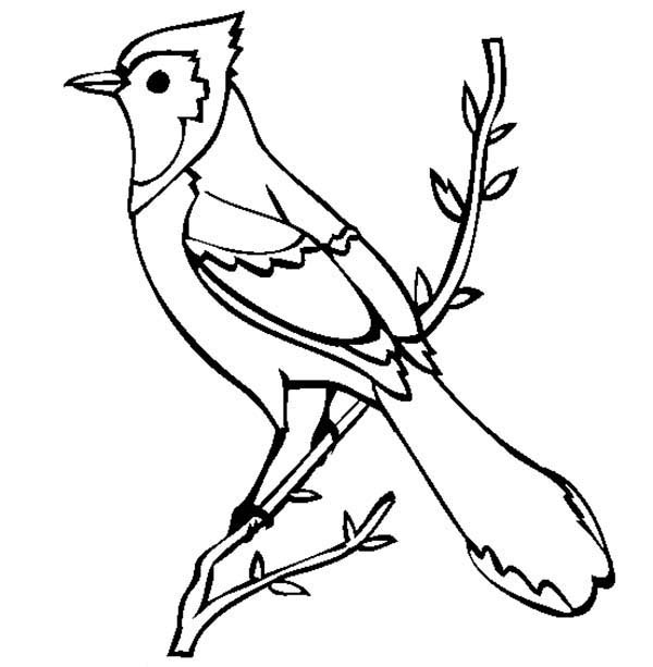 Toronto Blue Jays Coloring Pages at GetColorings.com | Free printable