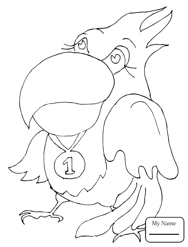 blue-jay-on-a-branch-coloring-page-free-printable-coloring-pages