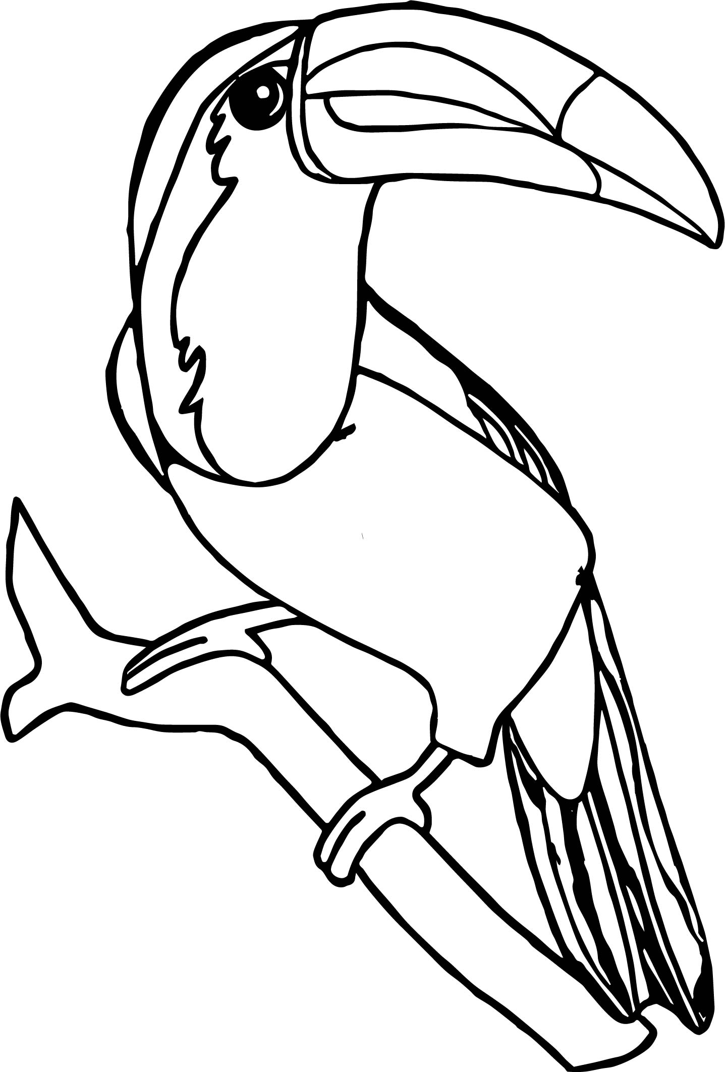 Toucan Bird Coloring Pages at GetColorings.com | Free printable