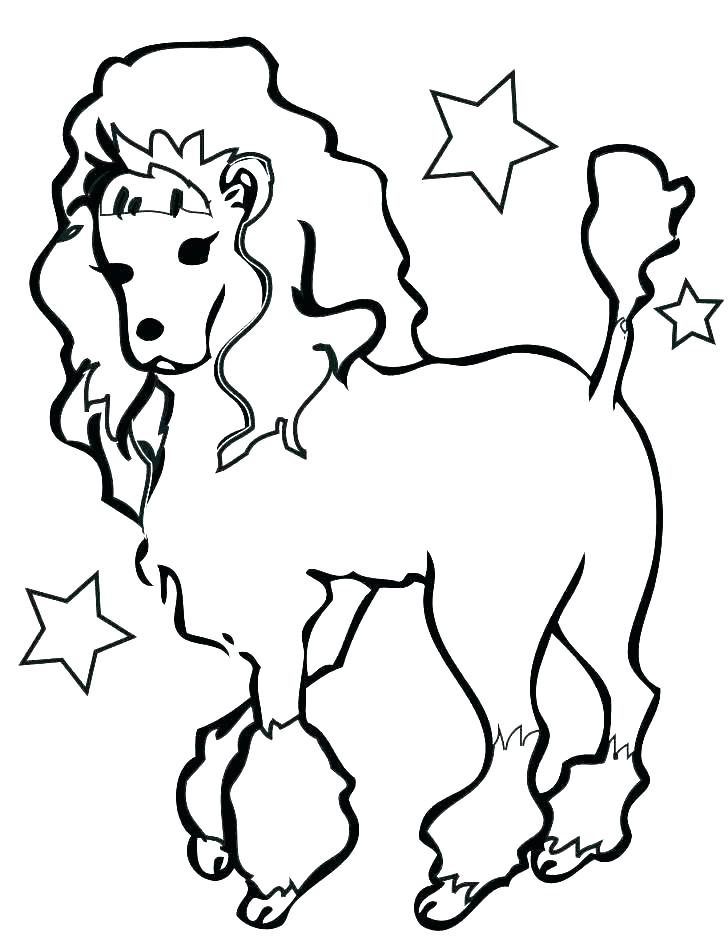 Toy Poodle Coloring Pages at GetColorings.com | Free printable