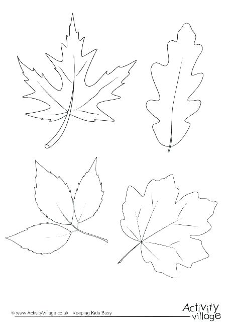 Tree Leaves Coloring Pages at GetColorings.com | Free printable