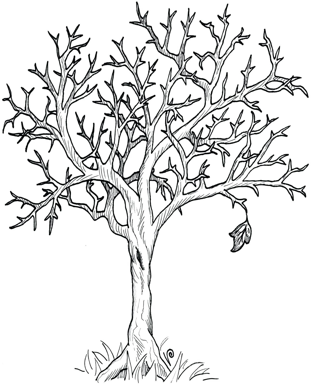 Tree Trunk Coloring Page at GetColorings.com | Free printable colorings