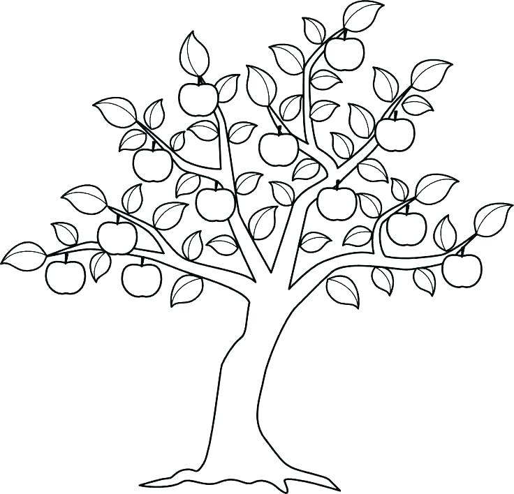 Tree Without Leaves Coloring Page at GetColorings.com | Free printable