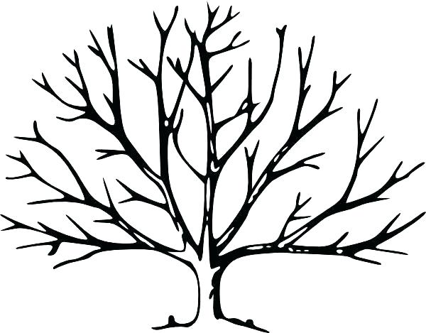 Tree Without Leaves Coloring Page At GetColorings Free Printable 