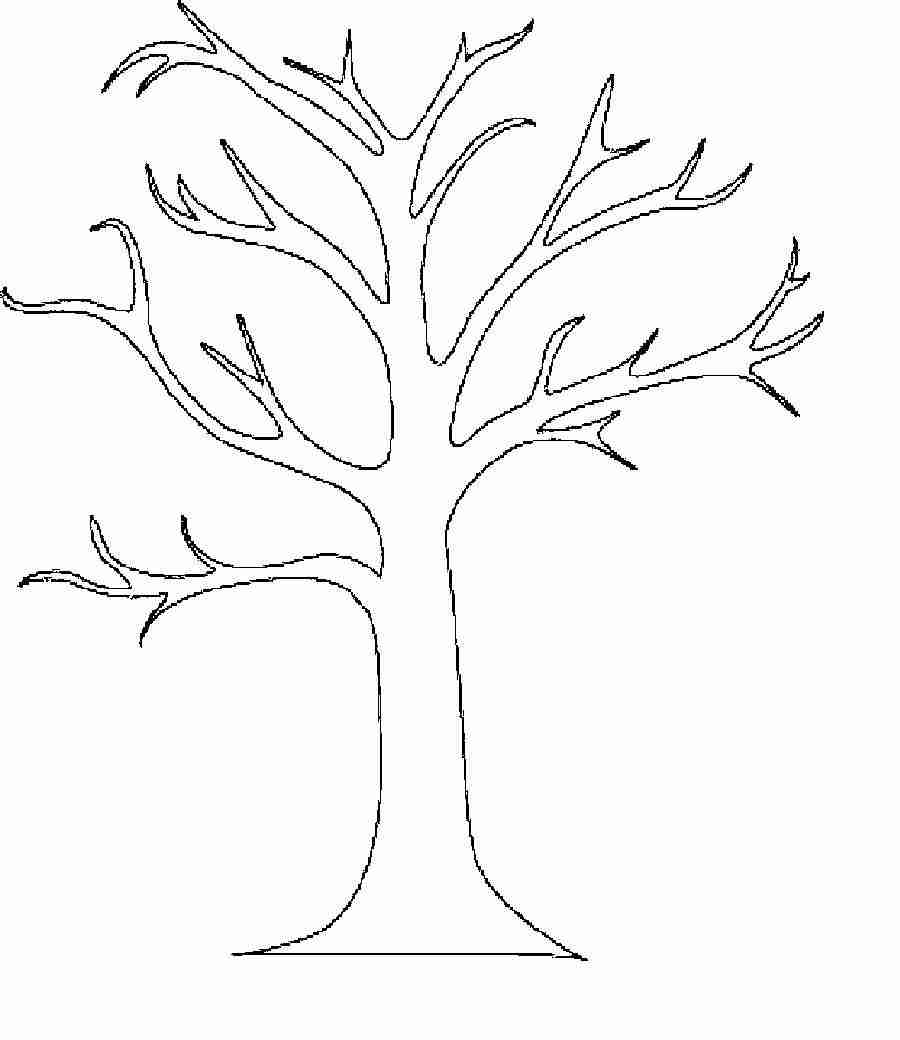 Printable Tree Without Leaves