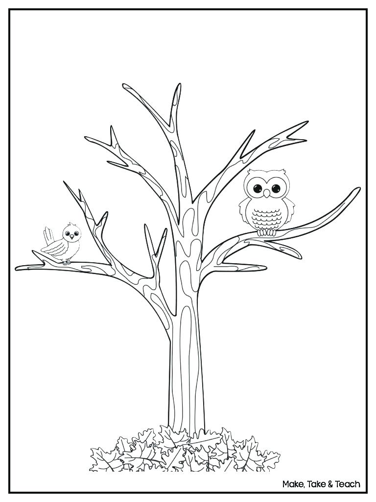 Tree Without Leaves Coloring Page at Free printable