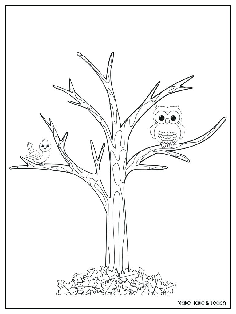 Tree Without Leaves Coloring Page At GetColorings Free Printable 