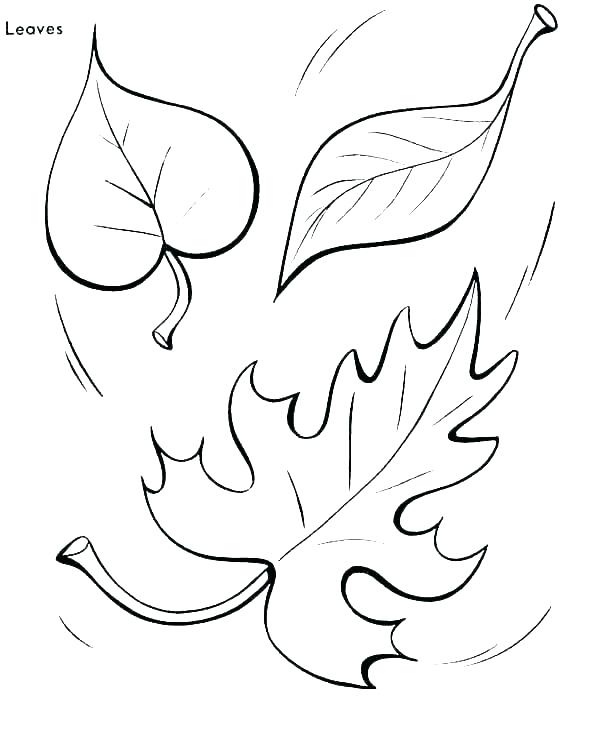 Tropical Leaves Coloring Pages at GetColorings.com | Free printable