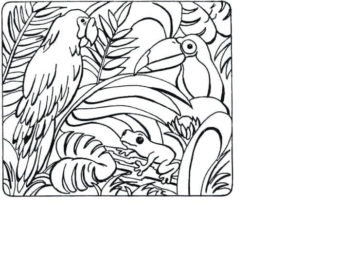 Tropical Rainforest Coloring Pages at GetColorings.com | Free printable