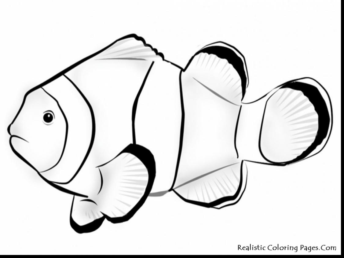 Tuna Fish Coloring Page at GetColorings.com | Free printable colorings