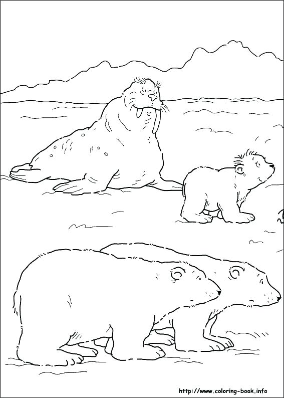 Tundra Animals Coloring Pages at Free printable