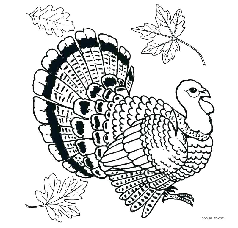 turkey-head-printable
