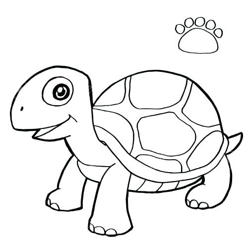 Turtle Shell Coloring Page At Getcolorings.com | Free Printable