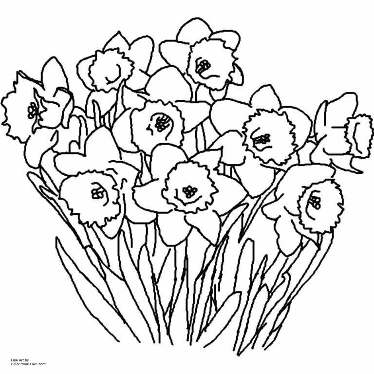 Types Of Coloring Pages at Free printable colorings