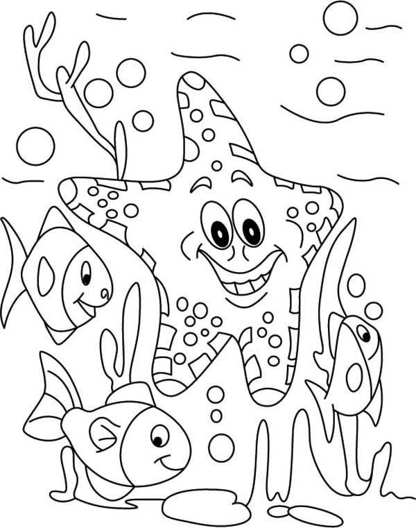 Under The Sea Coloring Pages at GetColorings.com | Free ...