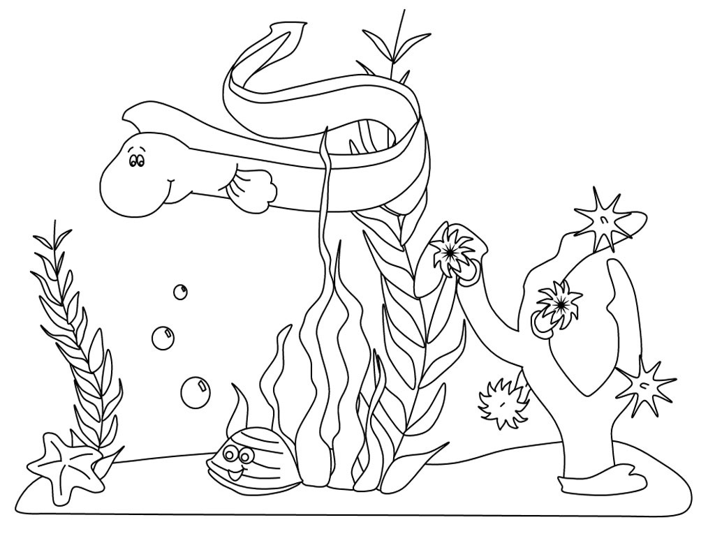 Underwater Animals Coloring Pages at Free printable