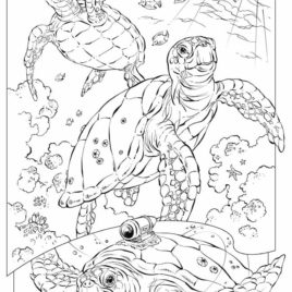 Underwater Coloring Pages For Adults at GetColorings.com | Free