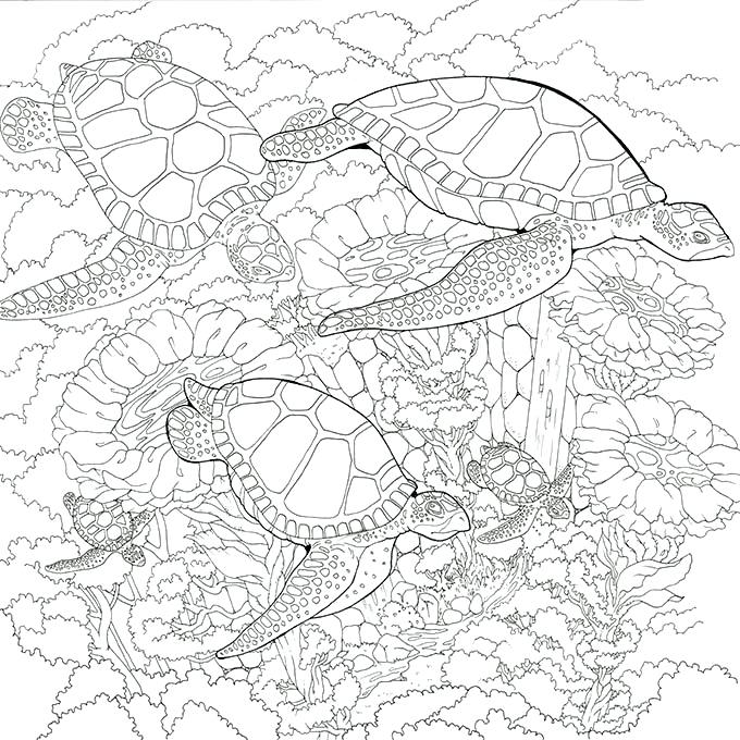 underwater-coloring-pages-for-adults-at-getcolorings-free