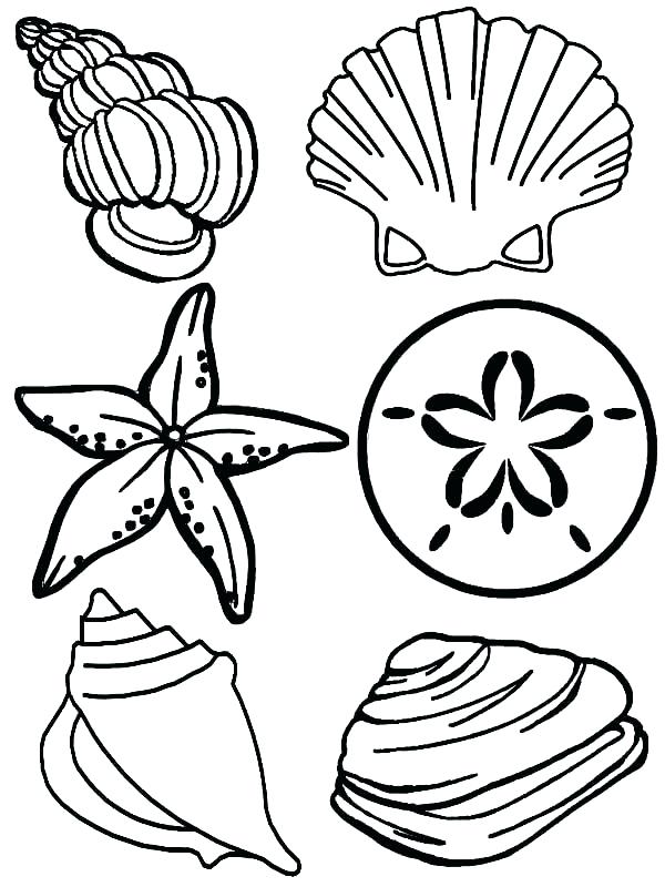 Underwater Plants Coloring Pages at Free printable