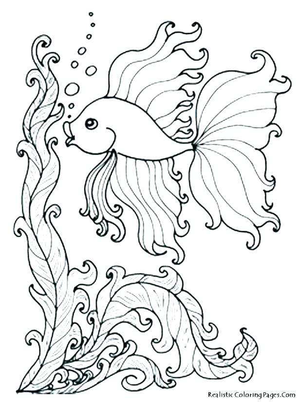 Underwater Scene Coloring Pages at GetColorings.com | Free printable