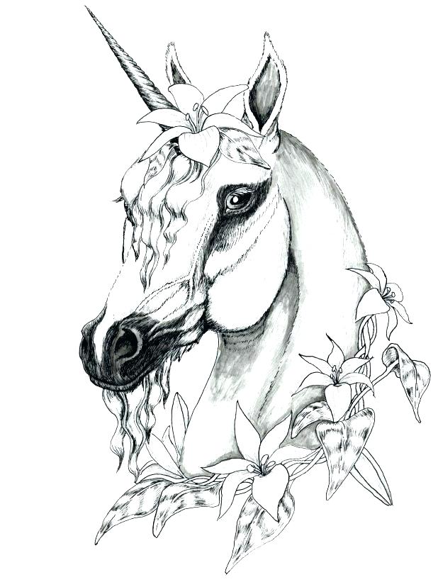 free coloring pages for kids unicorn
