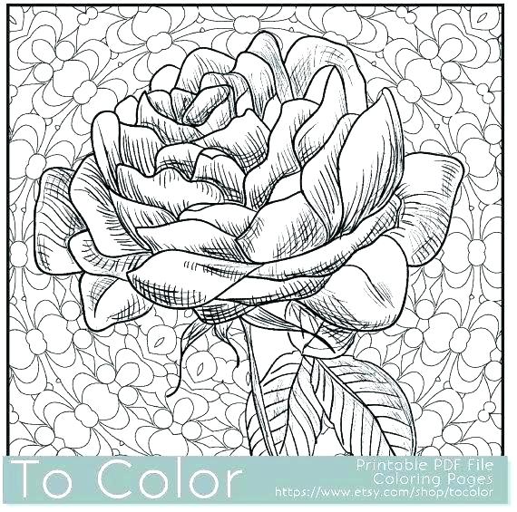 10 Creative Adult Coloring Pages for Unique Fun