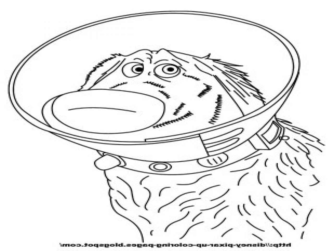 Up House Coloring Pages at GetColorings.com | Free printable colorings