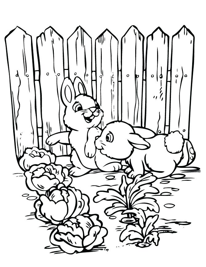 Free Printable Vegetable Garden Coloring Pages
