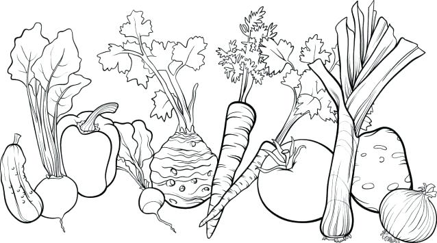 Vegetable Garden Coloring Pages at GetColorings.com | Free ...